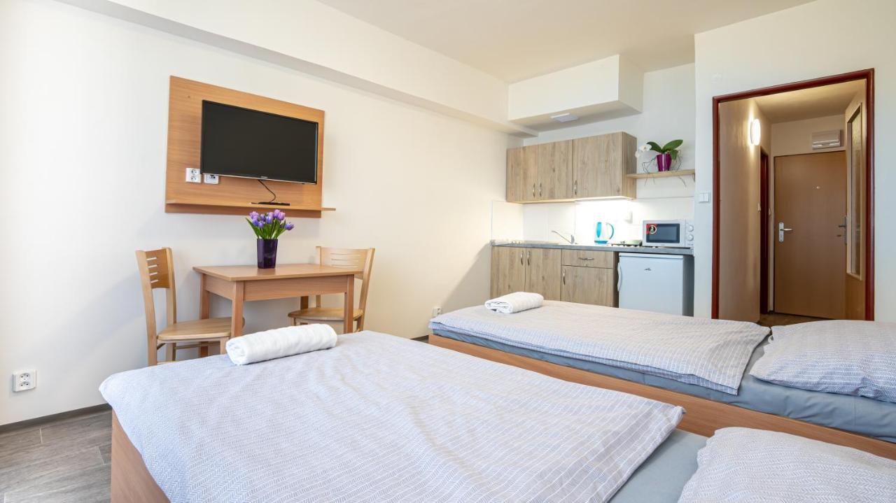 Apartmany A Studia Zamecky Park Litvínov Eksteriør bilde
