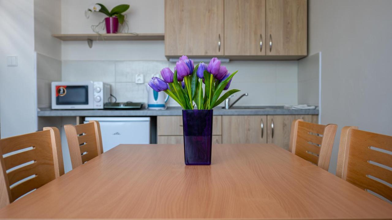 Apartmany A Studia Zamecky Park Litvínov Eksteriør bilde